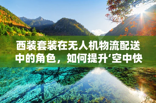 西装套装在无人机物流配送中的角色，如何提升‘空中快递员’的专业形象？