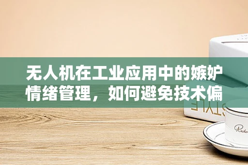 无人机在工业应用中的嫉妒情绪管理，如何避免技术偏见影响决策？