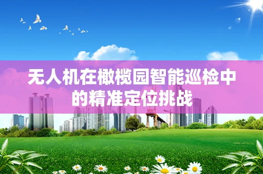 无人机在橄榄园智能巡检中的精准定位挑战