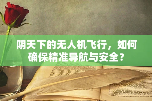 阴天下的无人机飞行，如何确保精准导航与安全？