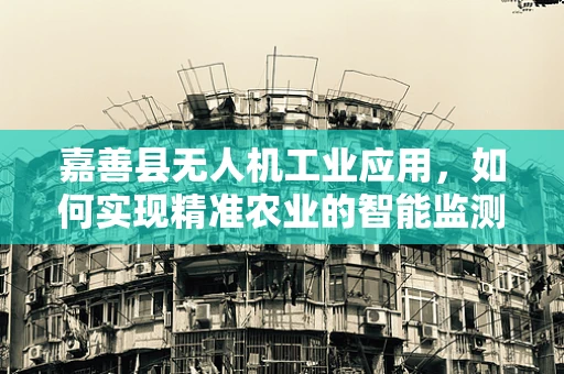 嘉善县无人机工业应用，如何实现精准农业的智能监测？