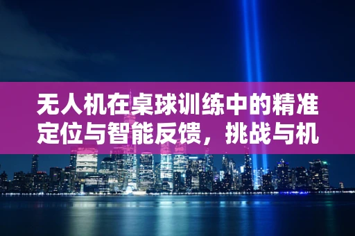 无人机在桌球训练中的精准定位与智能反馈，挑战与机遇