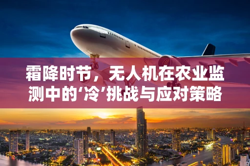 霜降时节，无人机在农业监测中的‘冷’挑战与应对策略