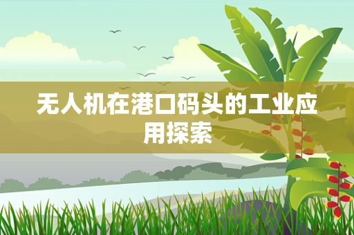 无人机在港口码头的工业应用探索