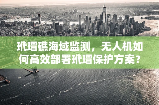 玳瑁礁海域监测，无人机如何高效部署玳瑁保护方案？