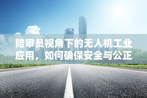 陪审员视角下的无人机工业应用，如何确保安全与公正？