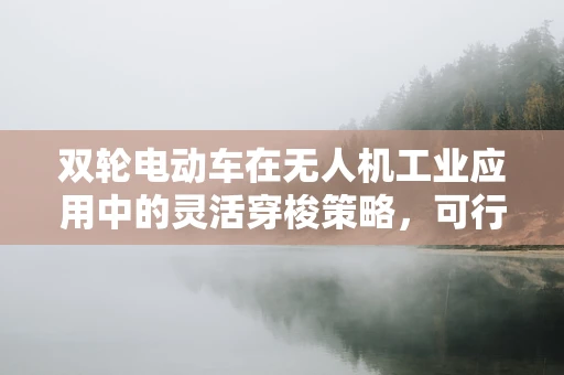 双轮电动车在无人机工业应用中的灵活穿梭策略，可行吗？