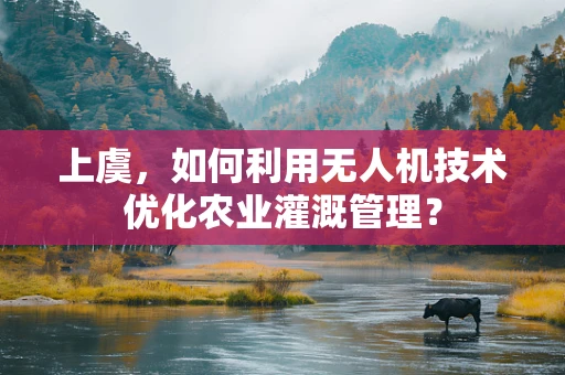 上虞，如何利用无人机技术优化农业灌溉管理？