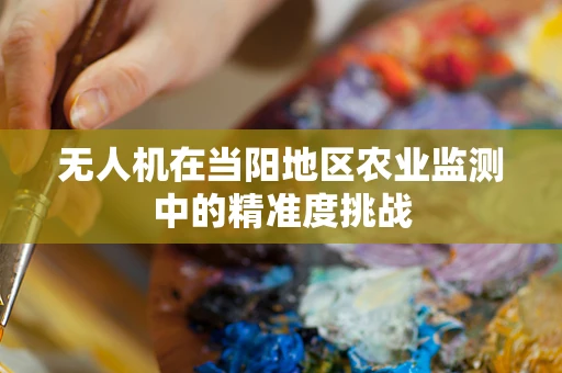 无人机在当阳地区农业监测中的精准度挑战