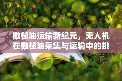 橄榄油运输新纪元，无人机在橄榄油采集与运输中的挑战与机遇？