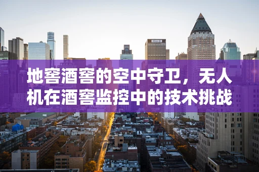 地窖酒窖的空中守卫，无人机在酒窖监控中的技术挑战与解决方案