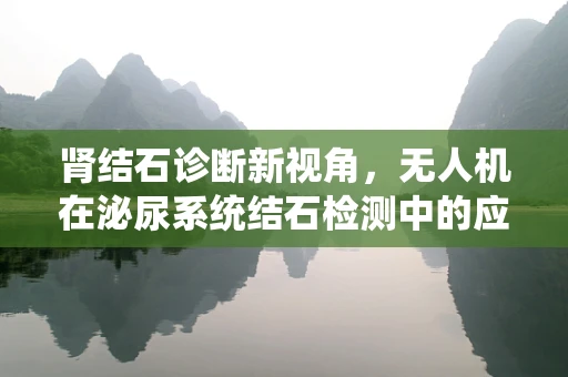 肾结石诊断新视角，无人机在泌尿系统结石检测中的应用潜力？