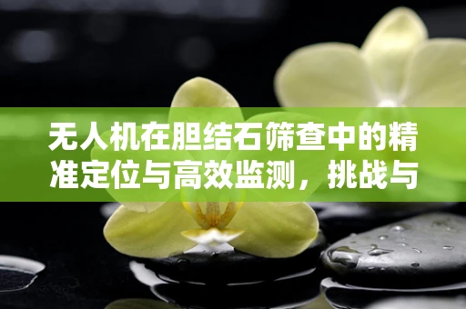 无人机在胆结石筛查中的精准定位与高效监测，挑战与机遇？