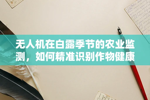 无人机在白露季节的农业监测，如何精准识别作物健康状况？