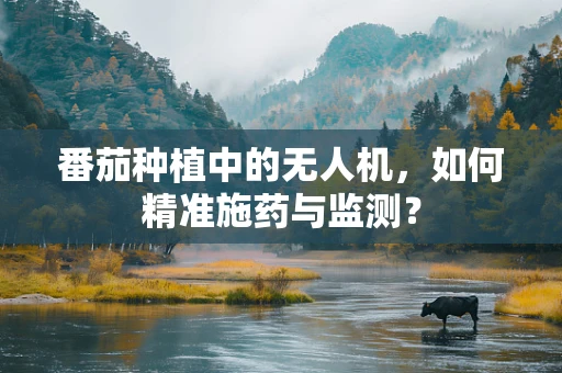 番茄种植中的无人机，如何精准施药与监测？