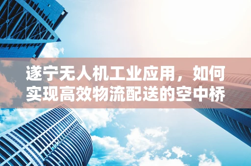 遂宁无人机工业应用，如何实现高效物流配送的空中桥梁？