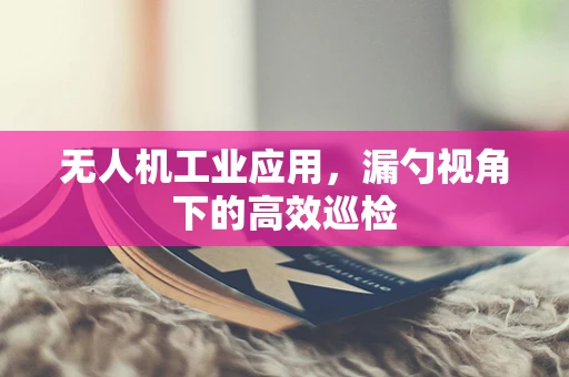 无人机工业应用，漏勺视角下的高效巡检