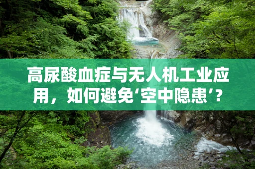 高尿酸血症与无人机工业应用，如何避免‘空中隐患’？