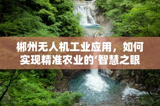 郴州无人机工业应用，如何实现精准农业的‘智慧之眼’？
