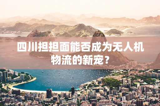 四川担担面能否成为无人机物流的新宠？