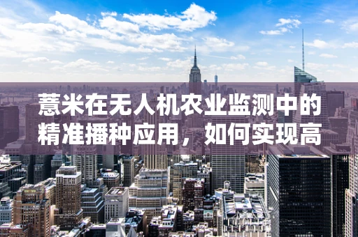 薏米在无人机农业监测中的精准播种应用，如何实现高效精准投放？