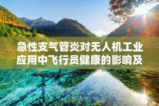 急性支气管炎对无人机工业应用中飞行员健康的影响及应对策略
