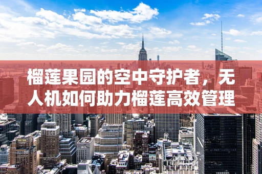 榴莲果园的空中守护者，无人机如何助力榴莲高效管理？