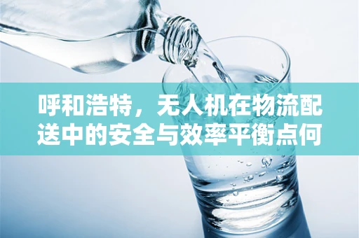 呼和浩特，无人机在物流配送中的安全与效率平衡点何在？