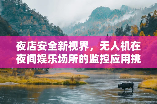 夜店安全新视界，无人机在夜间娱乐场所的监控应用挑战与解决方案