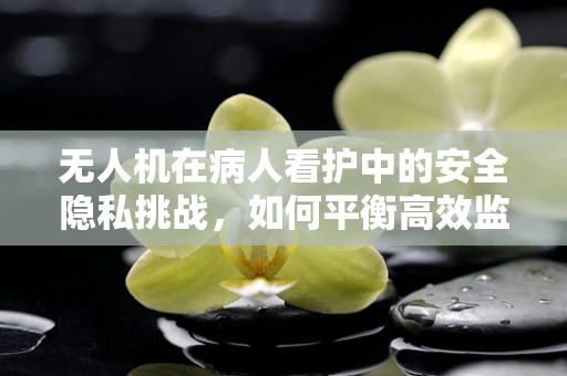 无人机在病人看护中的安全隐私挑战，如何平衡高效监控与个人隐私保护？