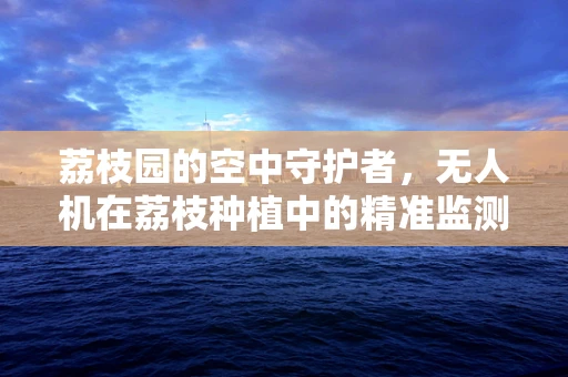 荔枝园的空中守护者，无人机在荔枝种植中的精准监测挑战