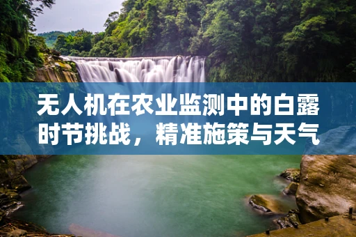无人机在农业监测中的白露时节挑战，精准施策与天气适应性