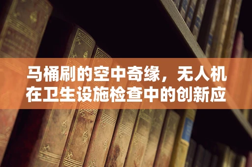 马桶刷的空中奇缘，无人机在卫生设施检查中的创新应用？