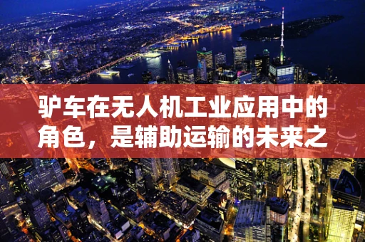 驴车在无人机工业应用中的角色，是辅助运输的未来之星吗？