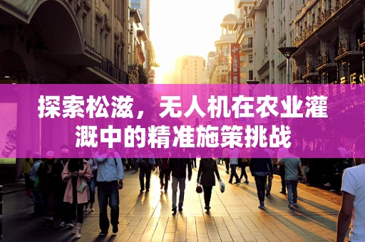 探索松滋，无人机在农业灌溉中的精准施策挑战
