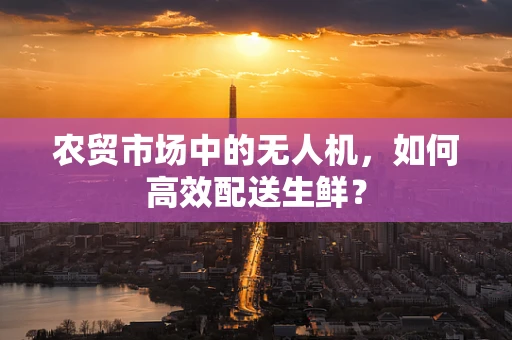 农贸市场中的无人机，如何高效配送生鲜？