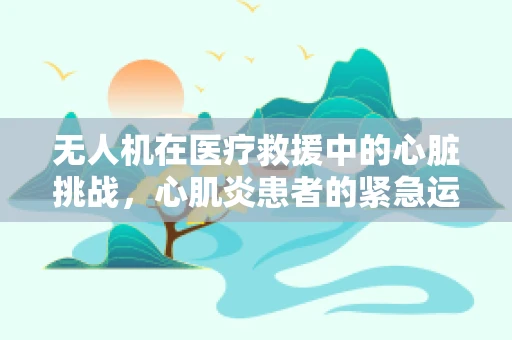 无人机在医疗救援中的心脏挑战，心肌炎患者的紧急运输方案