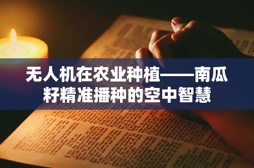 无人机在农业种植——南瓜籽精准播种的空中智慧
