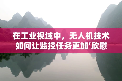在工业视域中，无人机技术如何让监控任务更加‘欣慰’？