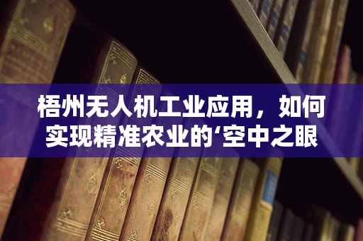 梧州无人机工业应用，如何实现精准农业的‘空中之眼’？