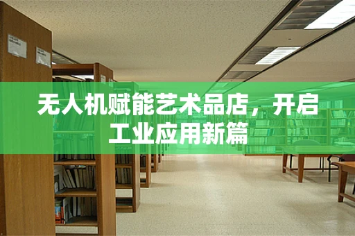 无人机赋能艺术品店，开启工业应用新篇