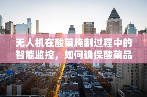无人机在酸菜腌制过程中的智能监控，如何确保酸菜品质的均匀性？