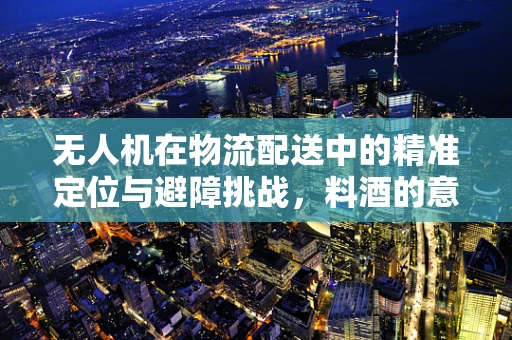 无人机在物流配送中的精准定位与避障挑战，料酒的意外角色