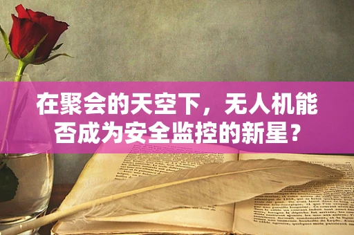 在聚会的天空下，无人机能否成为安全监控的新星？