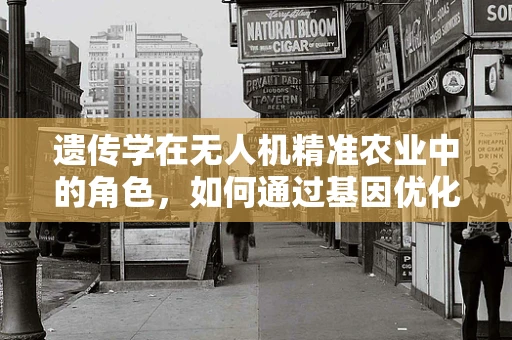 遗传学在无人机精准农业中的角色，如何通过基因优化提升作物监测精度？