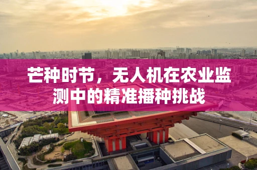 芒种时节，无人机在农业监测中的精准播种挑战