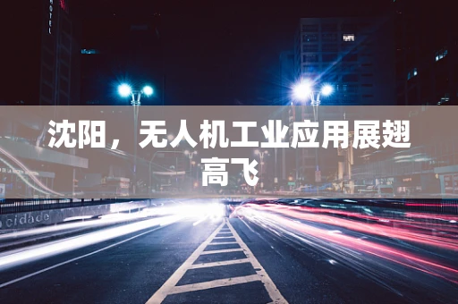 沈阳，无人机工业应用展翅高飞