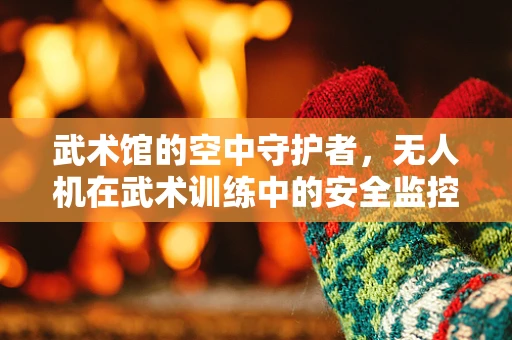 武术馆的空中守护者，无人机在武术训练中的安全监控应用