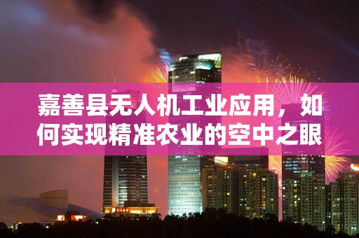 嘉善县无人机工业应用，如何实现精准农业的空中之眼？