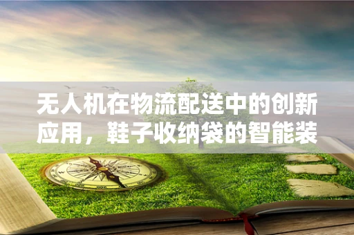 无人机在物流配送中的创新应用，鞋子收纳袋的智能装载与配送方案